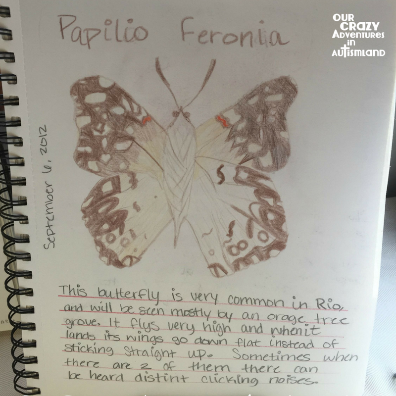 Imagen ilustrativa: Herramientas que abren puertas al aprendizaje — Educación