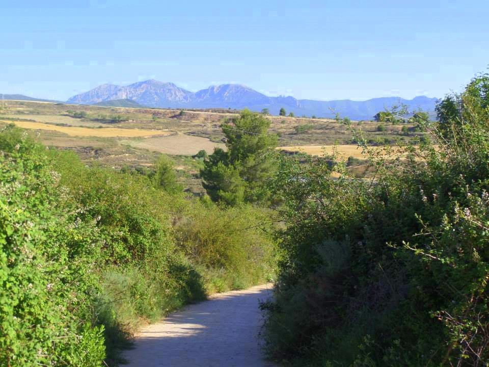 Trekking the Camino de Santiago de Compostela with Autism mountains