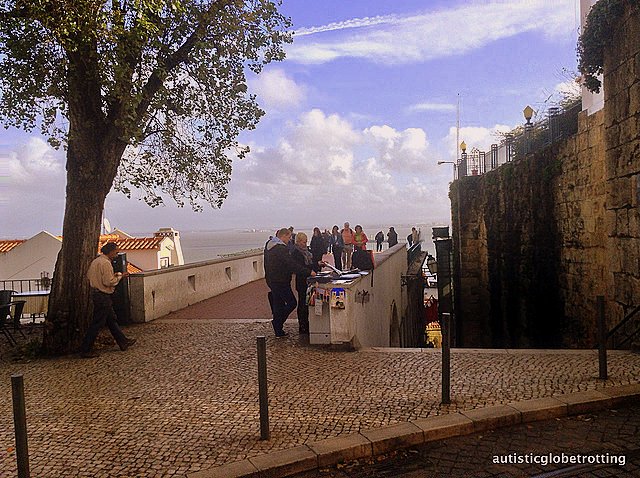 Taking Kids with Autism to Lisbon Portugal tree