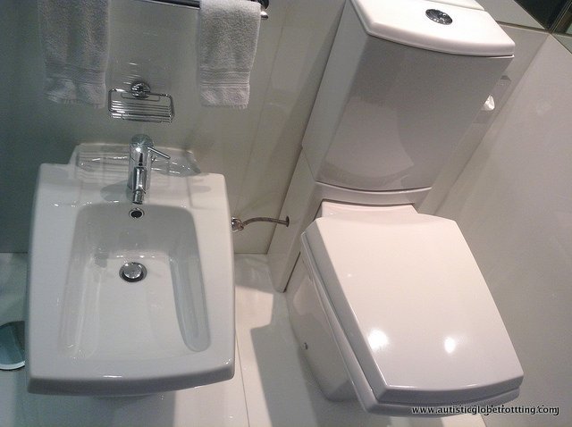 Ten Cultural Differences My Kid With Autism Learned from Traveling bidet