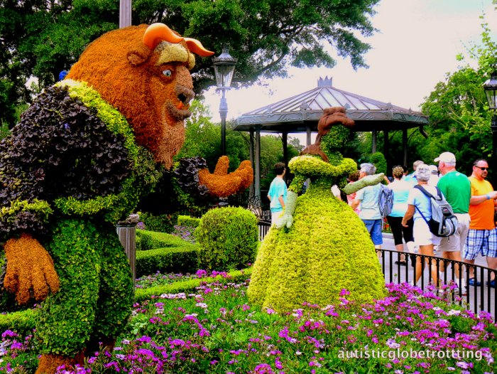 Fourteen Tips For Preventing Sensory Meltdowns at Disney World plant