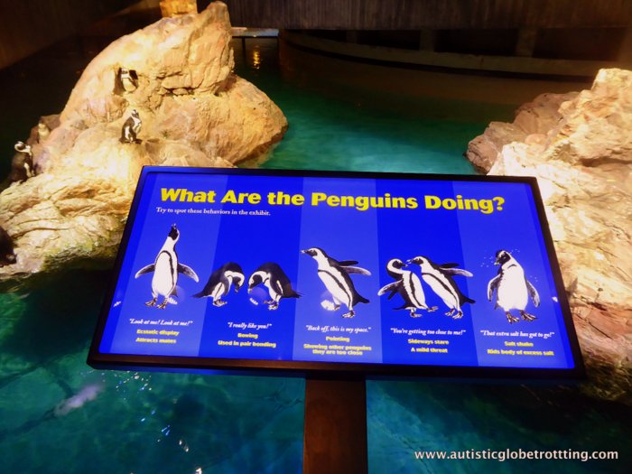 Should Your Family Try the Boston CityPASS? sign