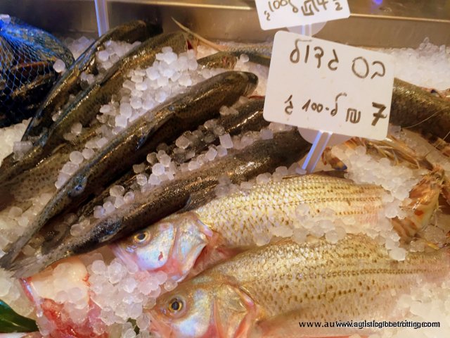 Exploring Tel Aviv's New Food Market Sarona with Family fish