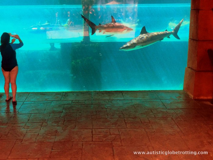 Family Fun at the Atlantis Paradise Island Resort shark