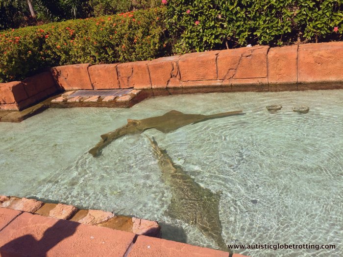 Family Fun at the Atlantis Paradise Island Resort swim
