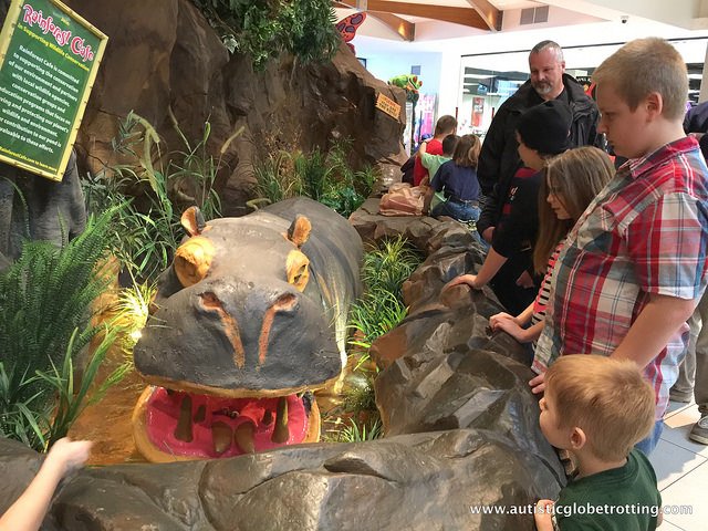 Family Fun in Nashville City hippo