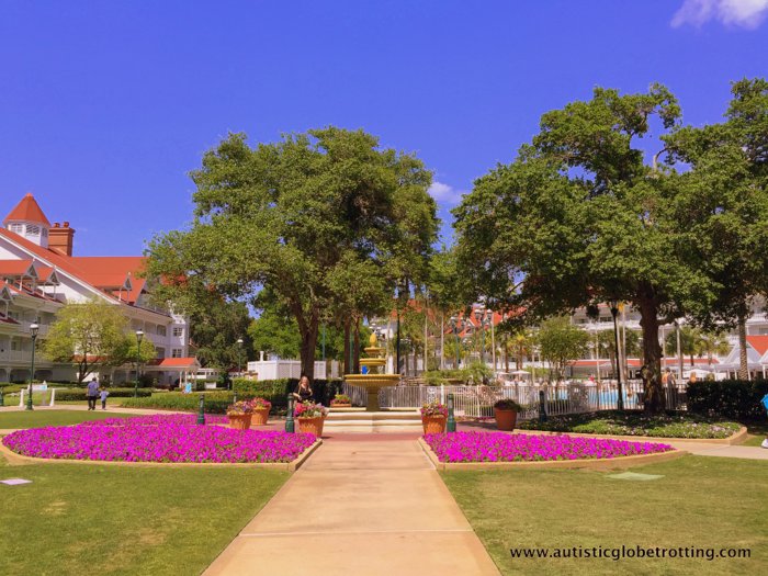 Our Family Stay at Disney's Grand Floridian grass
