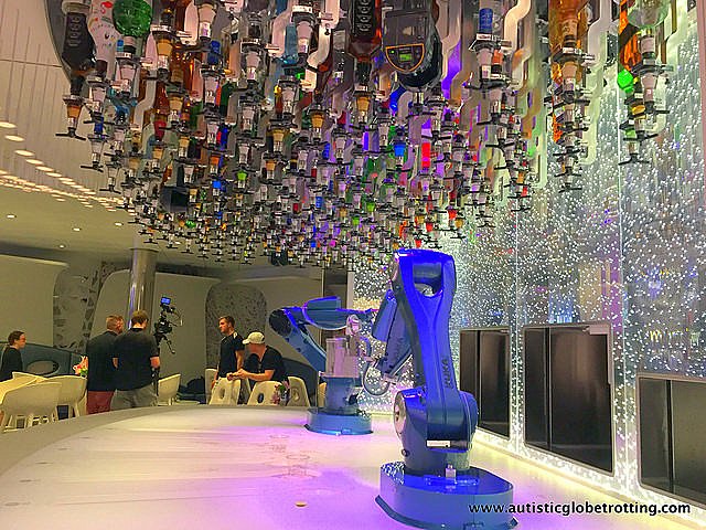 The Autism Friendly Harmony of the Seas robot