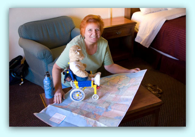 Q&A with Candy Harrington author of '22 accessible road trips' maps