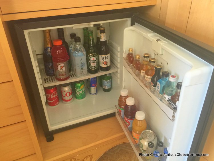 The Ritz-Carlton Orlando Grande Lakes fridge