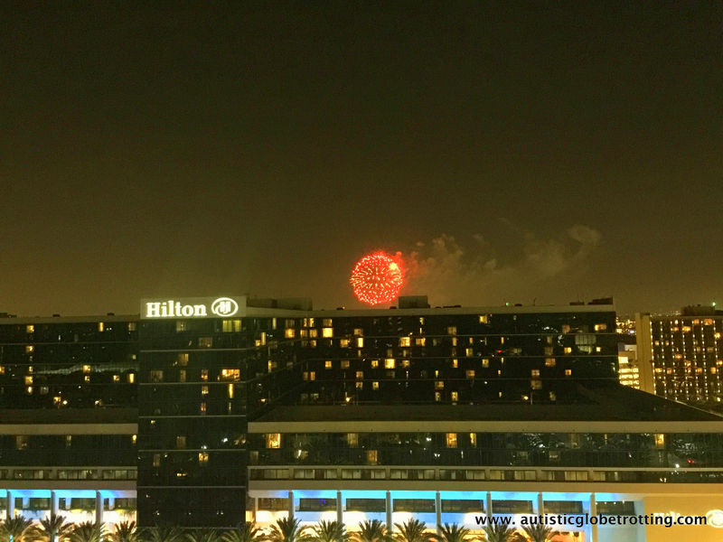 Our Family stay at the Anaheim Marriott fireworks