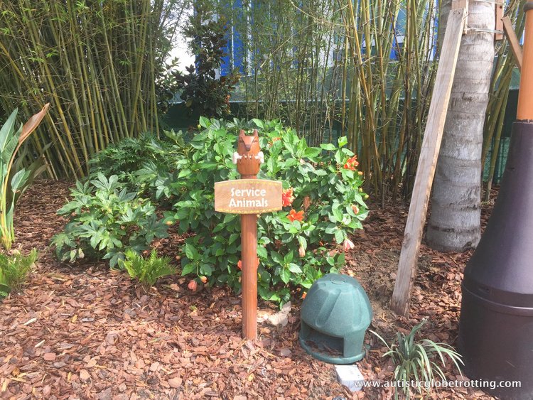 16 Best Tips for Visiting Universal's Volcano Bay with Autism dogs