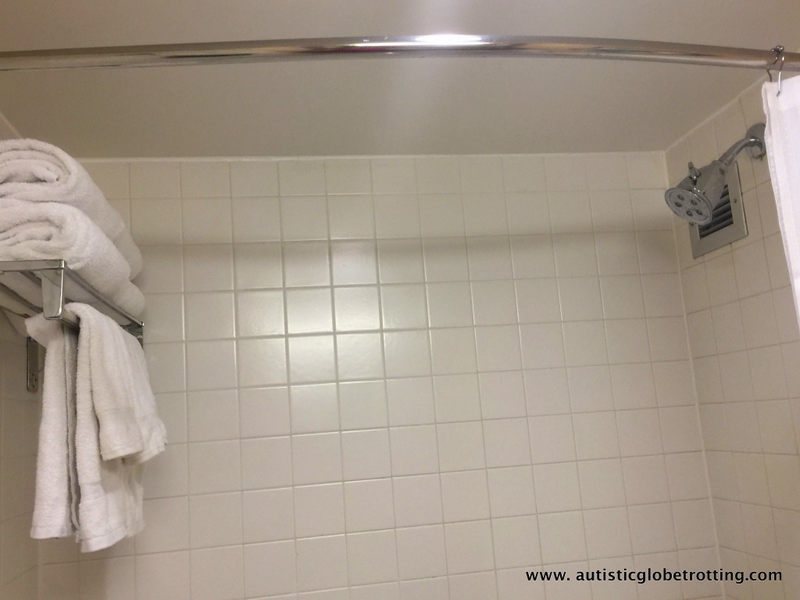 Our Family stay at the Anaheim Marriott tub