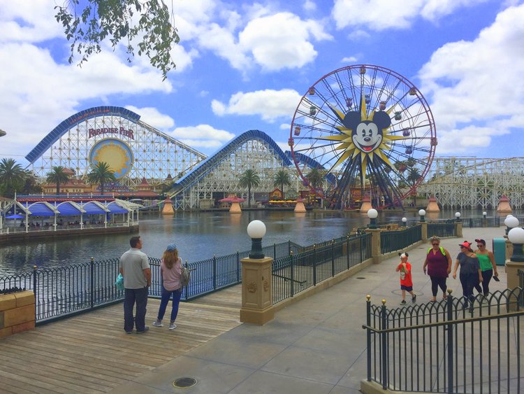 disney snacks view over california adventure mickey carousel