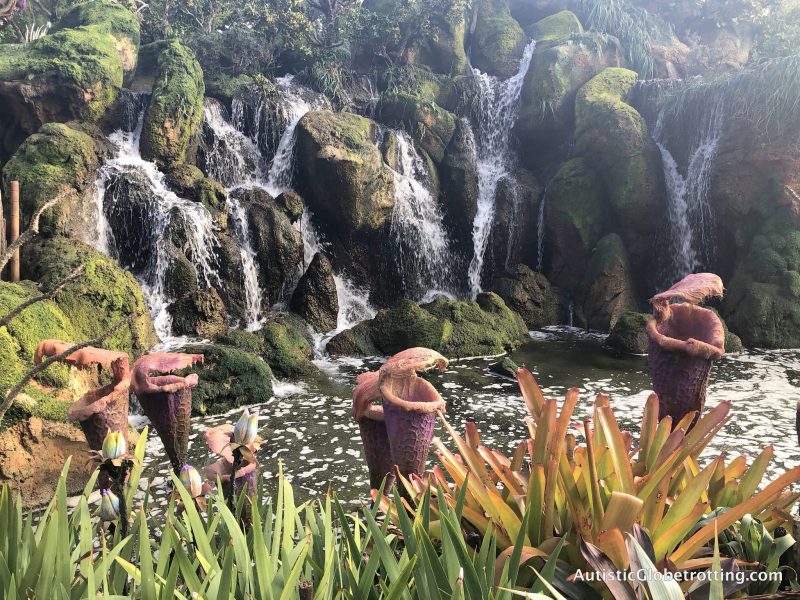 My Favorite highlights from the Disney Social Media Moms Celebration 2018 pandora plants