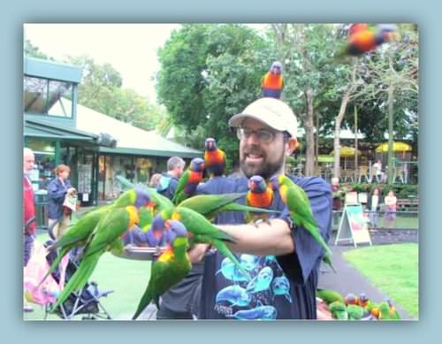 Q&A with Dr Stephen Mark Shore- Autism Advocate and Author parrots
