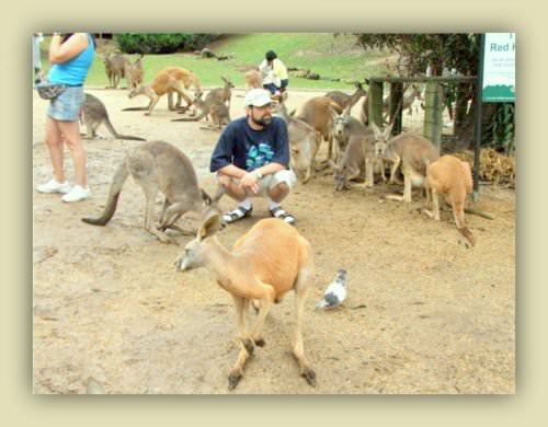 Q&A with Dr Stephen Mark Shore- Autism Advocate and Author australia