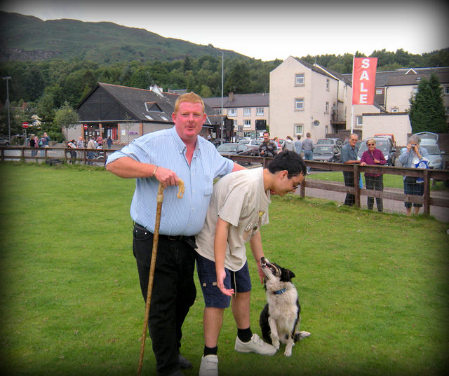 Autisticglobetrotting's Top Ten Unforgettable Animal Encounters sheep