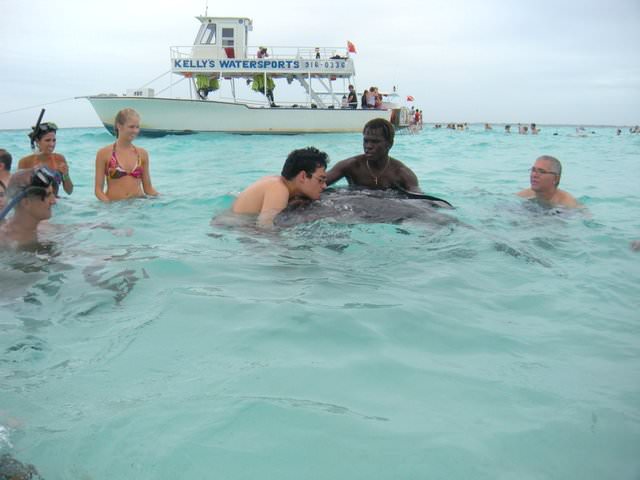 The Autistic Friendly Carnival Legend CAYMAN