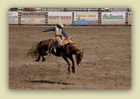 Q&A with Candy Harrington author of '22 accessible road trips' rodeo