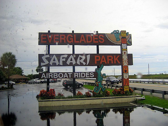 Five Family Friendly Fort Lauderdale Experiences park