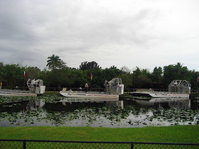Five Family Friendly Fort Lauderdale Experiences water