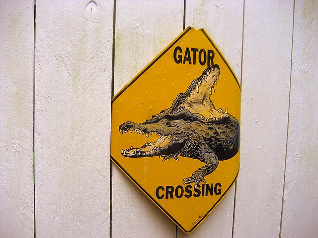 Five Family Friendly Fort Lauderdale Experiences sign