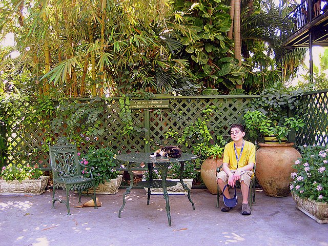 Taking Kids to the Hemingway House Museum sitting