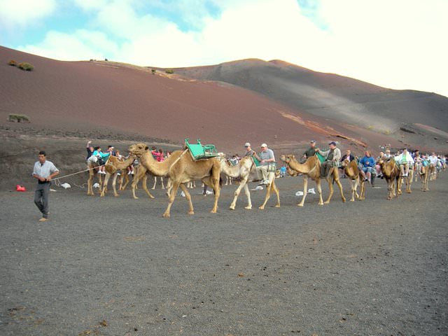 6 Life Lessons I’ve Learned From My Autistic Child camels