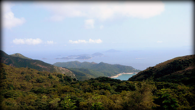 Have You Climbed Any Steps Lately? LANTAU