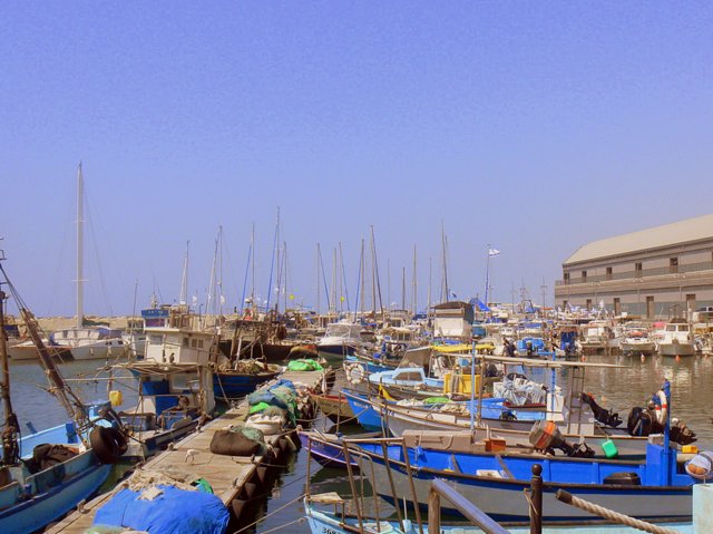 Exploring Jaffa Israel with Kids sea