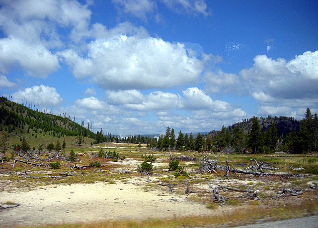 Exploring Yellowstone National Park with Family sky