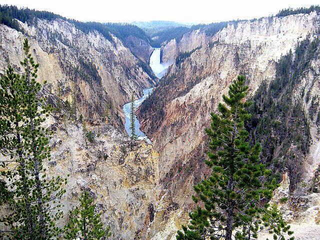 Exploring Yellowstone National Park with Family tree