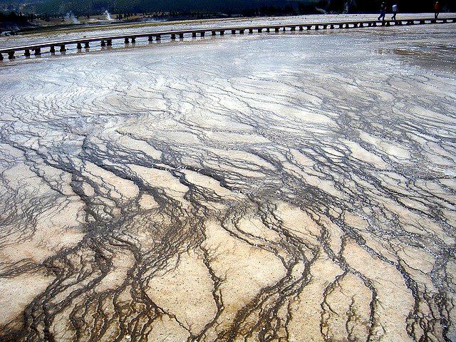 Exploring Yellowstone National Park with Family ground
