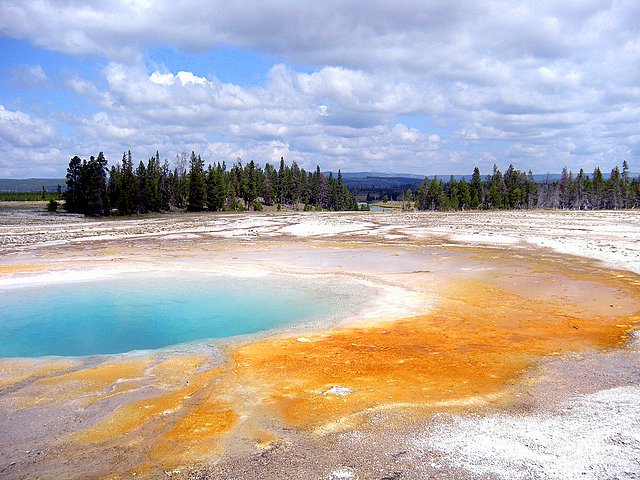 Exploring Yellowstone National Park with Family hotsprings