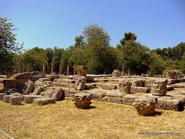 Our Family Day Trip to Olympia Greece tree