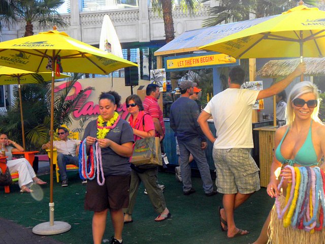 Las Vegas Yay or Nay for Families with Autism party
