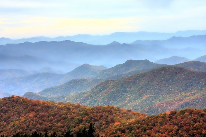https://www.flickr.com/photos/savannahgrandfather/7167753096/in/photolist-bVoBgW-pZy1cy-pX2KJr-NRpYhb-ovS8Tr-PpRrKv-PpSrBn-bVoAYN-PeMiuX-9RuBEW-odPYeb-odQ4C6-ox5uXT-qepMoS-oxWMzF-qh3z2G-oxWNbv-oeH7G8-pX4dwF-fwFcpq-o8HjTo-GQBtcs-6tMwM6-H7uYVW-fwFcAA-Qc4y2m-tyVJ8c-RN6xdr-amNuzj-pZy14N-HcX9rG-HcWZ8b-8TsawP-6tRF9w-mTDwh6-667M8V-9RrF6R-qePCMj-n1TZgs-H7uJ5o-9RrMHn-mTDwFT-9RuzY1-9RrL16-bVoy4d-n1ShFk-qZ7xW-H7vYTu-8Tvgay-qZ8GF