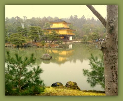 Q&A with Dr Stephen Mark Shore- Autism Advocate and Author japan