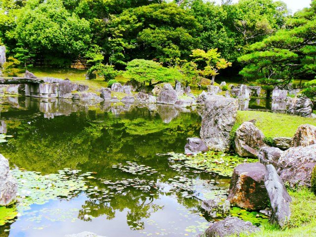 Five Sensory Activities for Families in Kyoto pond