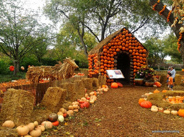 Five Sensory Attractions worth visiting in Dallas pumkins