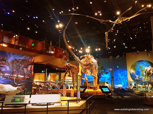 Experiencing Dallas's Perot Museum of Nature and Science with Family skeleton