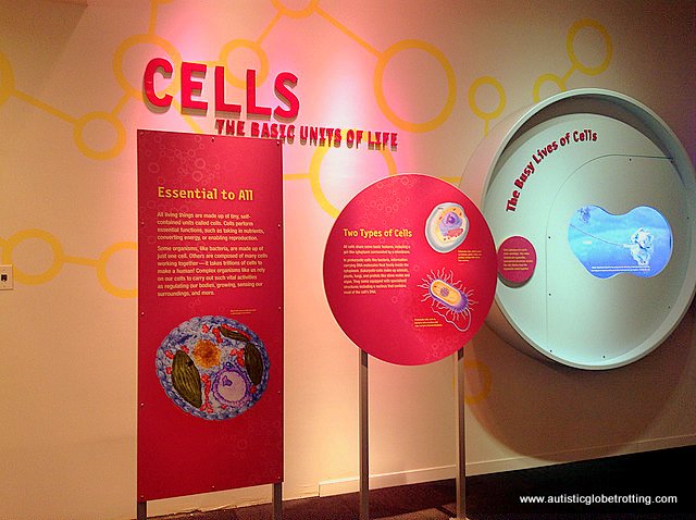 Experiencing Dallas's Perot Museum of Nature and Science with Family cells