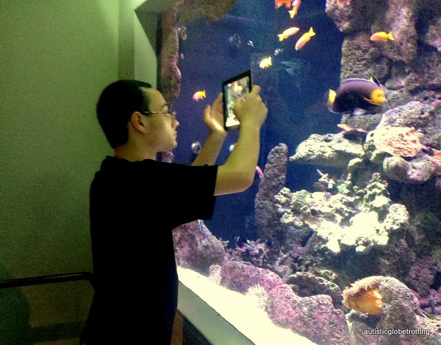 Five Sensory Attractions worth visiting in Dallas fish