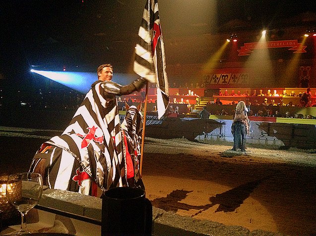 Taking Your Kid with Autism to Medieval Times knight