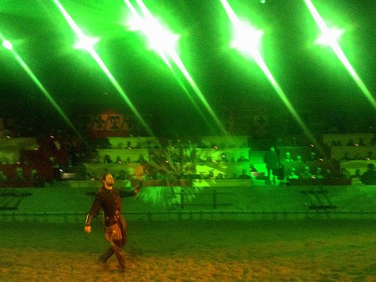Taking Your Kid with Autism to Medieval Times green