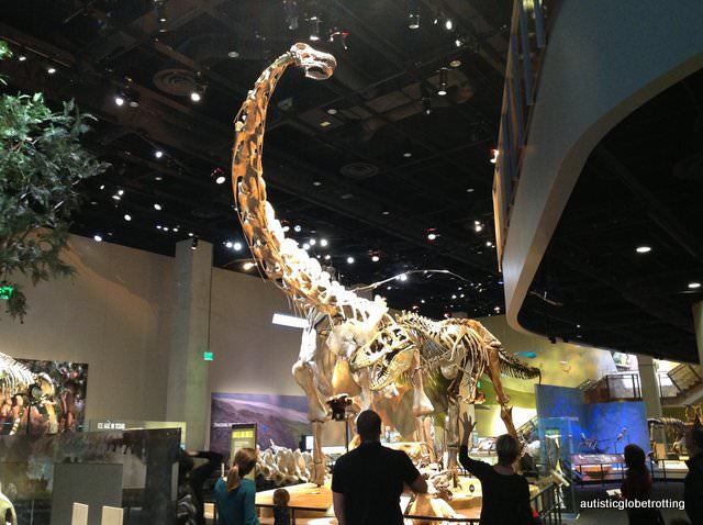 Five Sensory Attractions worth visiting in Dallas dinasaur