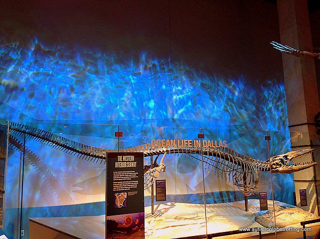 Experiencing Dallas's Perot Museum of Nature and Science with Family fish