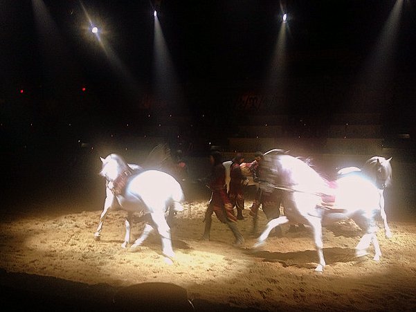 Taking Your Kid with Autism to Medieval Times horse