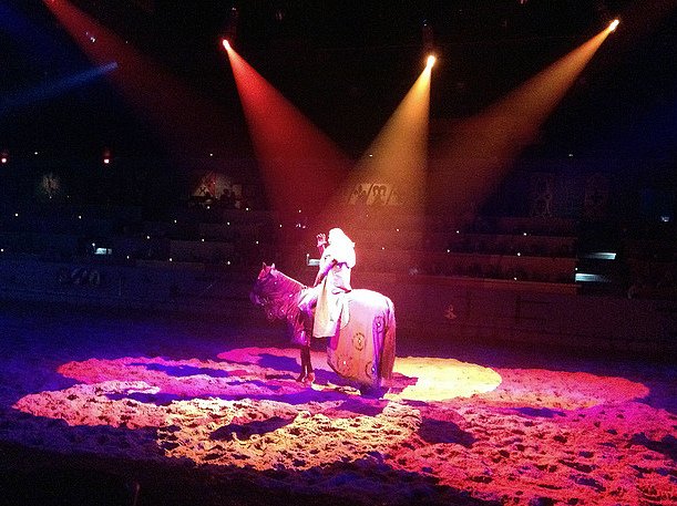 Taking Your Kid with Autism to Medieval Times red